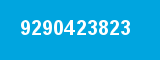 9290423823