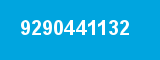 9290441132