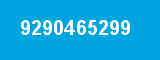 9290465299