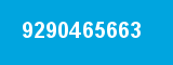 9290465663
