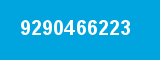 9290466223 9290466223