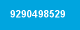 9290498529