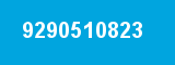 9290510823