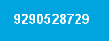 9290528729