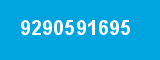 9290591695