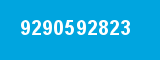 9290592823