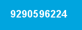 9290596224