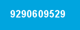 9290609529