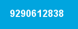 9290612838