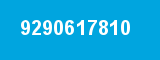 9290617810