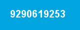 9290619253