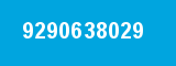 9290638029