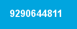 9290644811