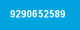9290652589