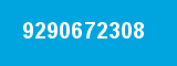 9290672308