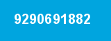 9290691882
