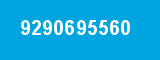 9290695560
