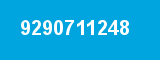 9290711248