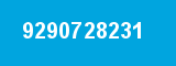 9290728231 9290728231