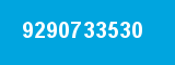 9290733530