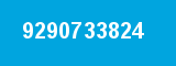 9290733824 9290733824