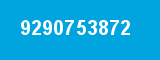 9290753872