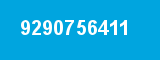 9290756411