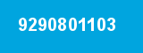 9290801103