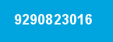 9290823016 9290823016