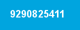 9290825411