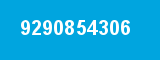 9290854306