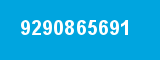 9290865691