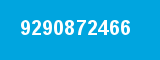 9290872466