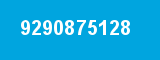 9290875128