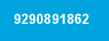 9290891862
