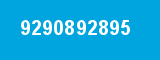 9290892895