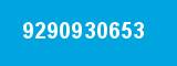 9290930653