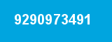 9290973491