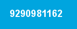 9290981162