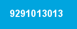 9291013013