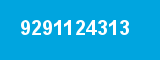 9291124313 9291124313