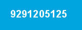 9291205125