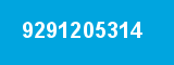 9291205314