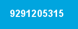 9291205315