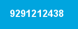 9291212438