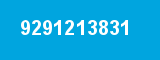 9291213831