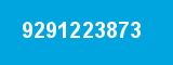 9291223873
