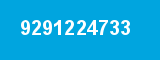 9291224733
