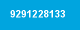 9291228133