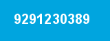 9291230389